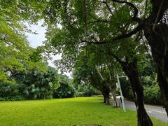 -深圳国际园林花卉博览园