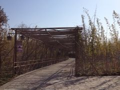 -苏州太湖国家湿地公园