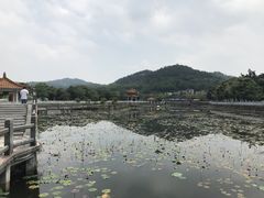 -红山村