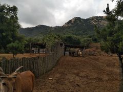 -青岛森林野生动物世界