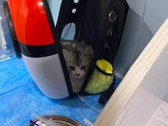 -纳吉亚猫专科动物医院·北北分院