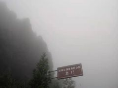-武陵山森林公园