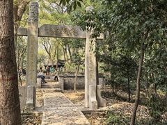 -上海佘山国家森林公园天马山园