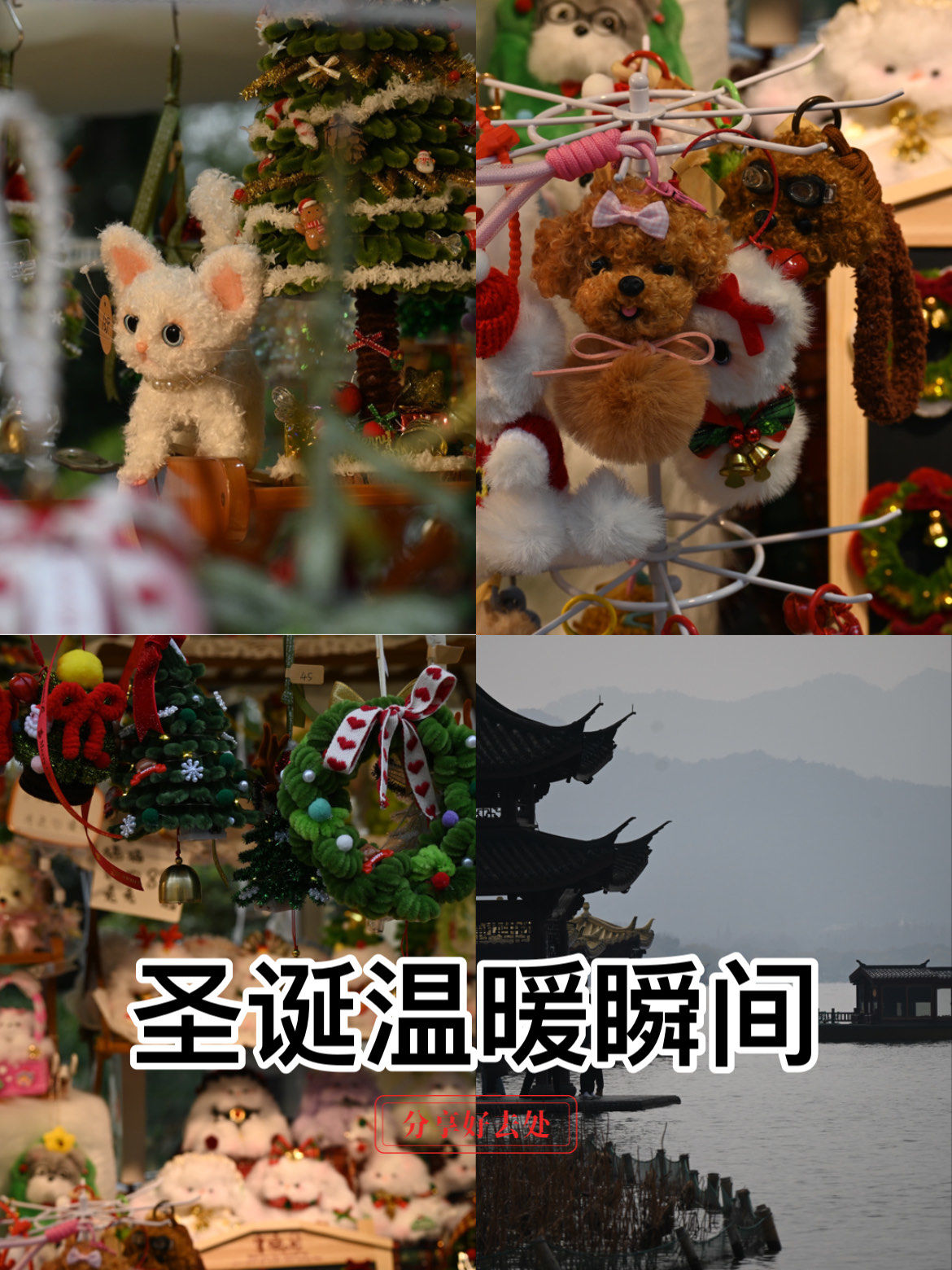 今日份的圣诞快乐