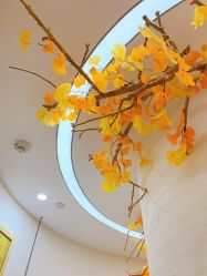 -芳朵美容养生SPA