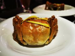 -蟹榭·本帮江浙菜·蟹宴(五角场合生汇商场店)