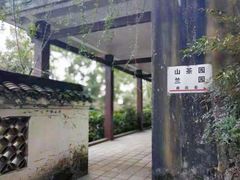 -南山植物园