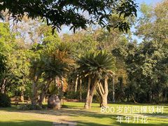 -中国科学院西双版纳热带植物园