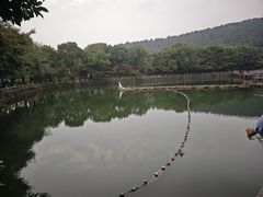 -九龙潭景区
