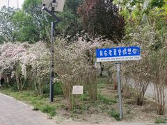 -老君堂公园