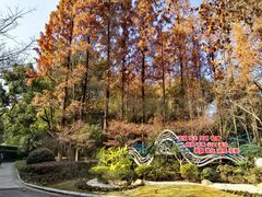 -徐家汇源景区-衡山公园