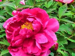 -合肥三国新城遗址公园