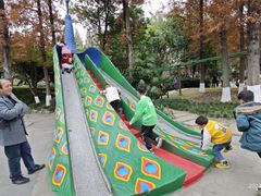 -成飞公园