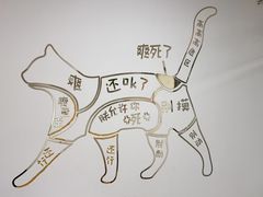 -有喵·猫咖·狗咖·30几只猫10只小狗(岗厦店)