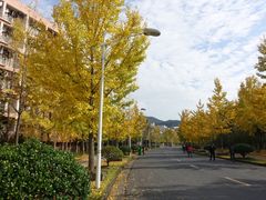 -浙江农林大学(东湖校区)
