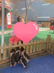 -萌宠亲子动物乐园(槐房万达店)