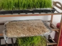 -天厨妙香素食餐厅(清华店)