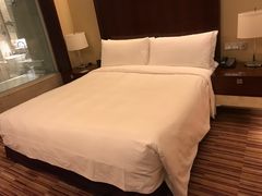 -上海龙之梦万丽酒店