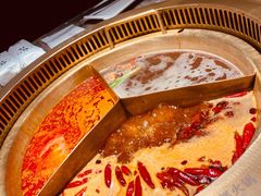 -麻路成都火锅(柏威年店)
