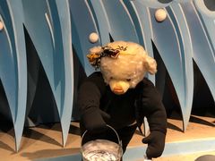 -成都泰迪熊博物馆