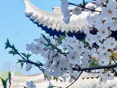 -龙华寺