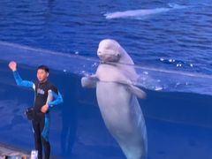 -喷泉广场餐厅·宵夜·海鲜烧烤大排档(长隆企鹅酒店)