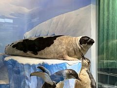 -国家自然博物馆