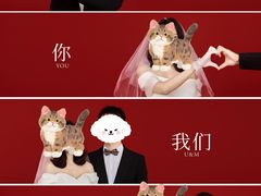 -苹果摄影(顺德华侨城店)