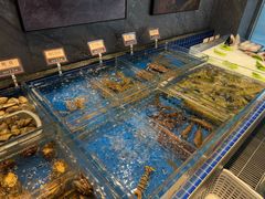 -協成海鮮火鍋(老店)