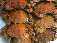 -宜宾海鲜酒家·三十年老字号