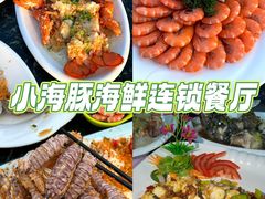 -亚龙湾热带天堂森林公园
