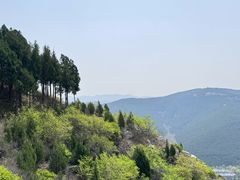 -佛慧山