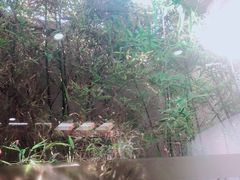 -优逸酒店(柳州窑埠古镇万象城店)