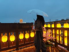 -老宅藕香·湖北菜·非遗藕汤·武昌鱼(黄鹤楼景观店)