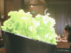 -九田家黑牛烤肉料理(新辰里亚运村店)
