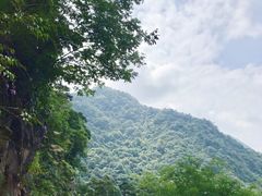 -东天目山风景区