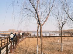 -西青郊野公园
