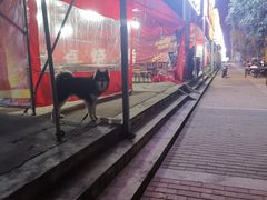 -永刚烧烤(大夜市店)