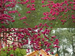 -富乐山