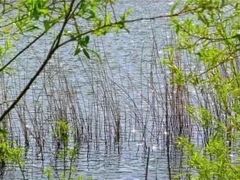 -庖丁堂(高新区店)