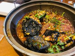 -闫水饺大酒楼·北京老闫靓马饺子馆