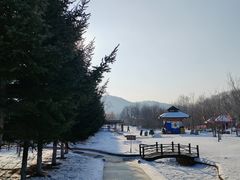 -横道河子东北虎林园