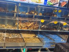 -77号渔船·蒸海鲜青岛菜(积米崖店)