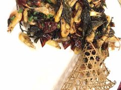 漓江虾烩青椒-刘姐啤酒鱼民族演艺餐厅(西街总店)