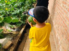 -万源龙顺度假庄园生态观光园