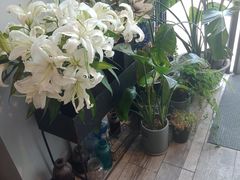 -隐食餐厅(金水湾公馆店)