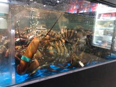 -盒马鲜生(馥邦国际店)