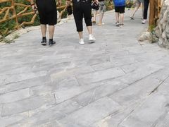 -大平台龙居瀑布旅游区