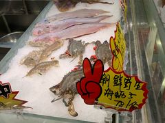 -渔娘渔家丹东海鲜(东直门店)