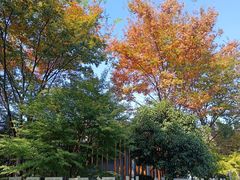 -同里国家湿地公园